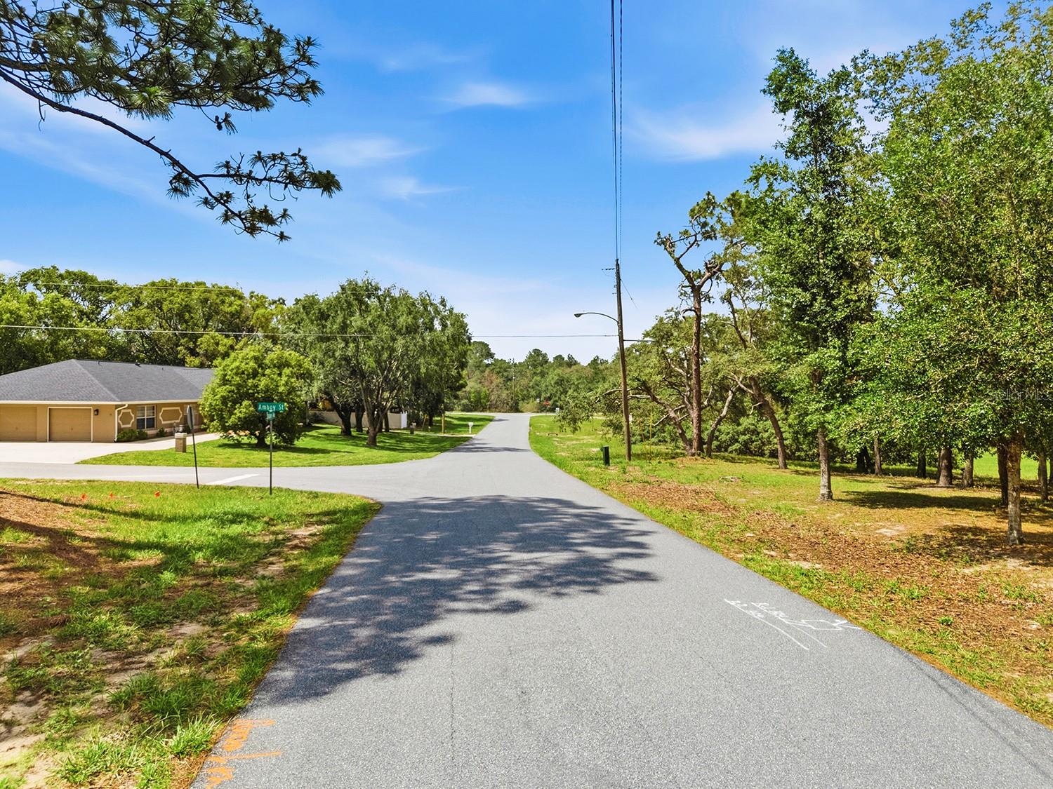 1228 STATEN AVE, SPRING HILL, FL — photo 9