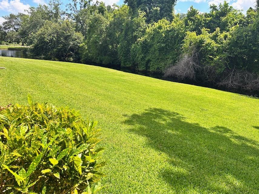 4916 SUNNYBROOK DR #14, NEW PORT RICHEY, FL — photo 15