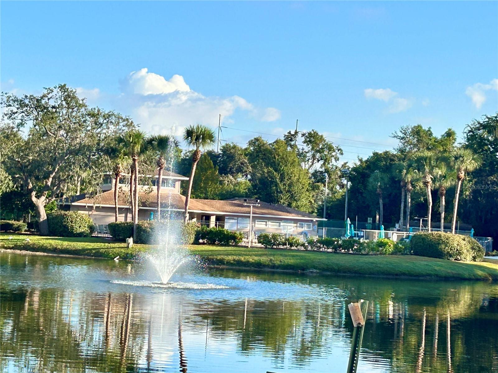 4916 SUNNYBROOK DR #14, NEW PORT RICHEY, FL — photo 41
