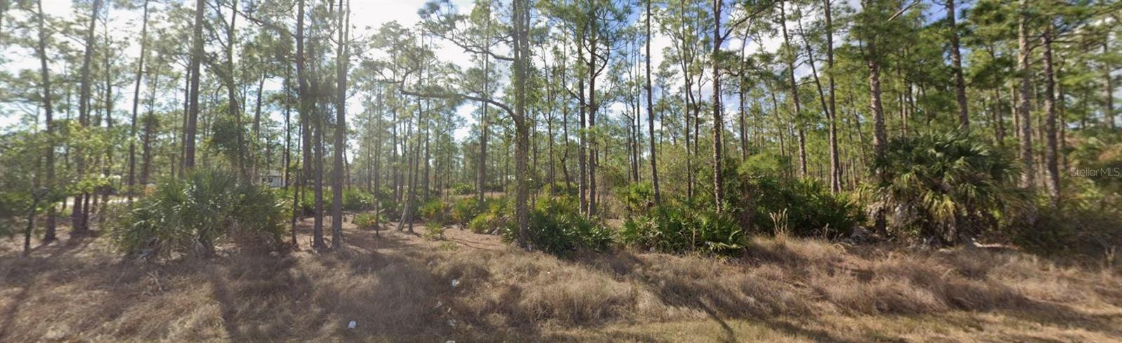 1303 GLENN AVE, LEHIGH ACRES, FL — photo 2