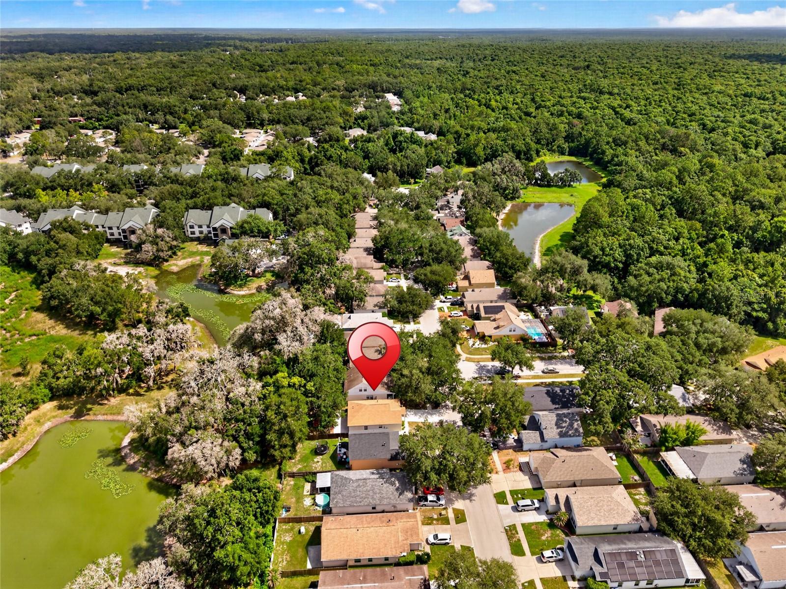 15032 DEER MEADOW DR, LUTZ, FL — photo 45