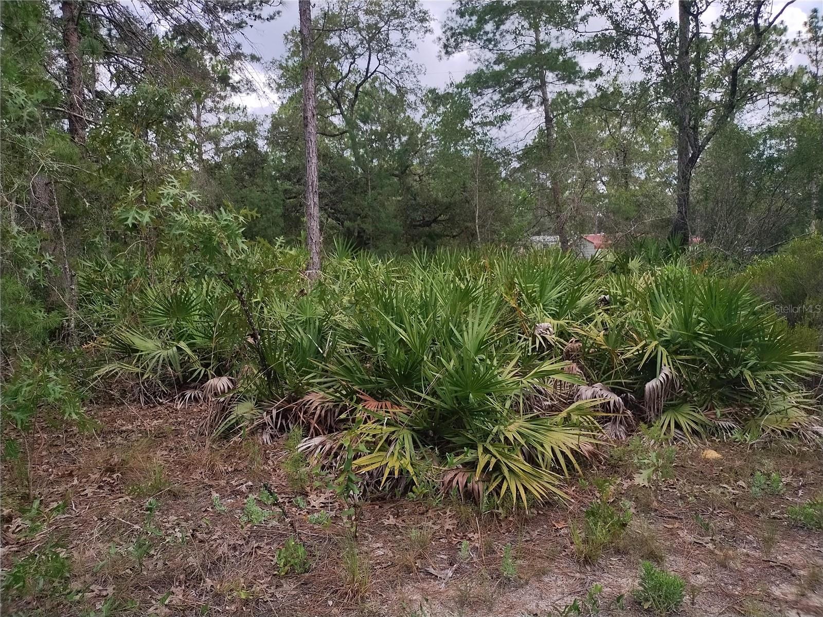 6033 W TIRANA LN, DUNNELLON, FL — photo 4