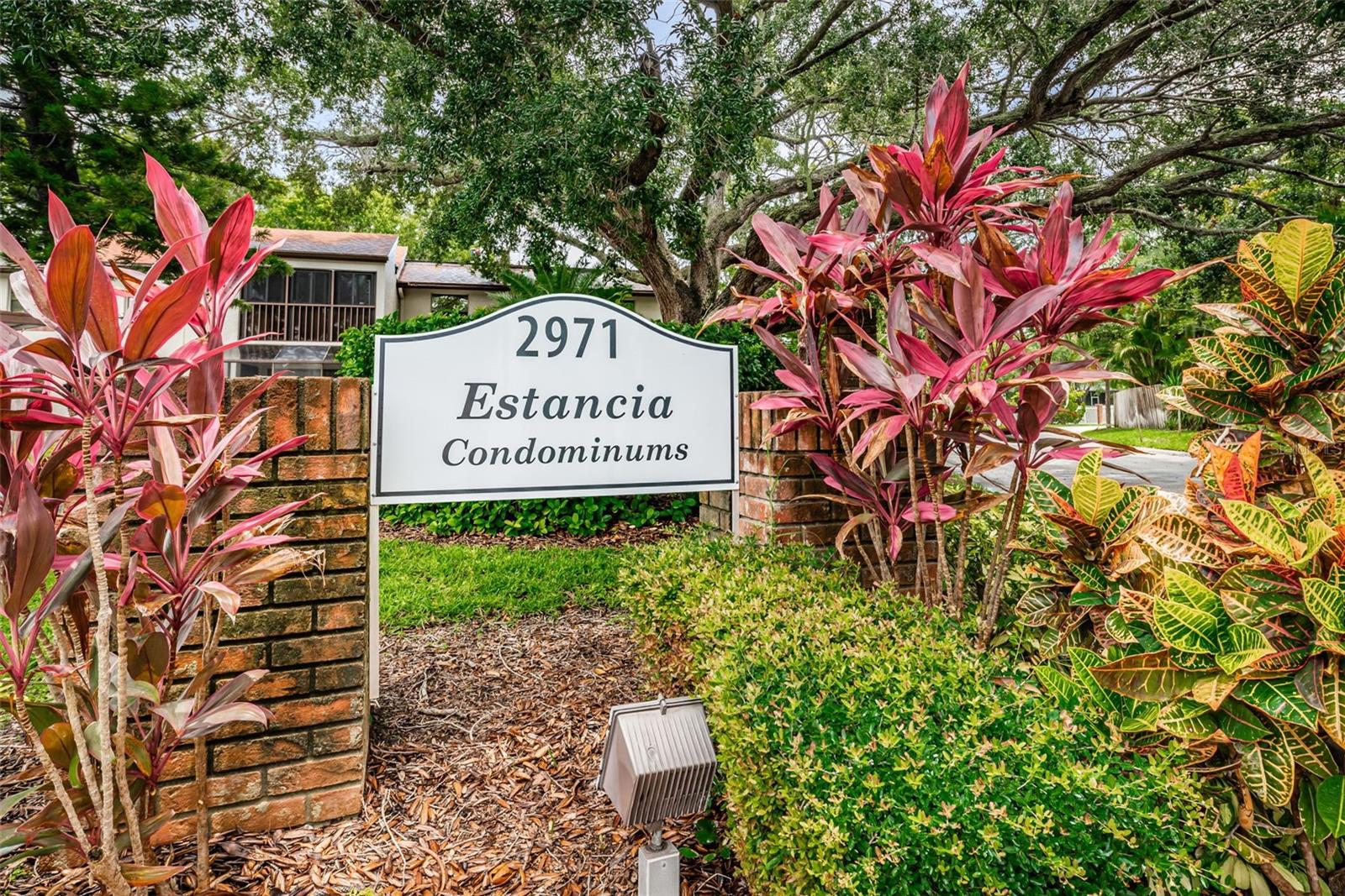 2971 ESTANCIA BLVD #426, CLEARWATER, FL — photo 2
