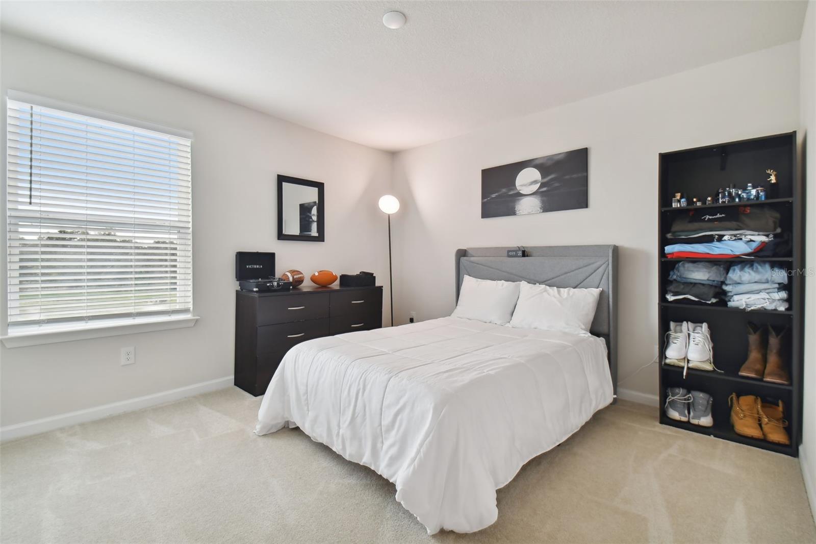 8308 GREENWAY AVE, WESLEY CHAPEL, FL — photo 16