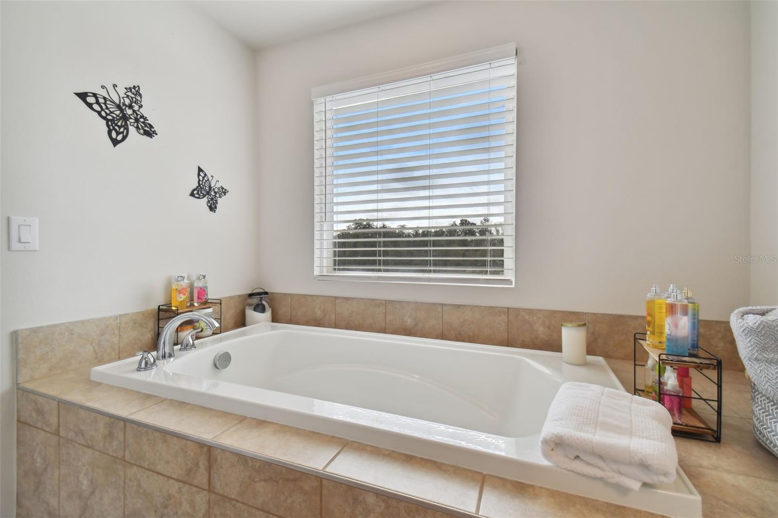 8308 GREENWAY AVE, WESLEY CHAPEL, FL — photo 23