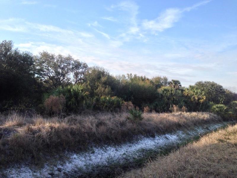1901 GRAHAM RD, PUNTA GORDA, FL — photo 8