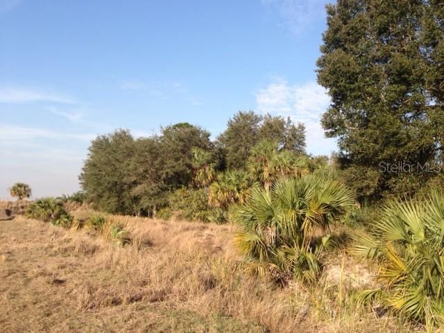 1901 GRAHAM RD, PUNTA GORDA, FL — photo 9