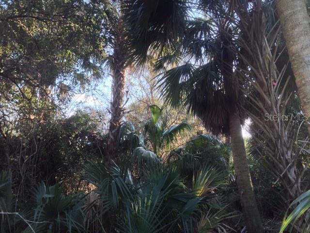 1901 GRAHAM RD, PUNTA GORDA, FL — photo 10