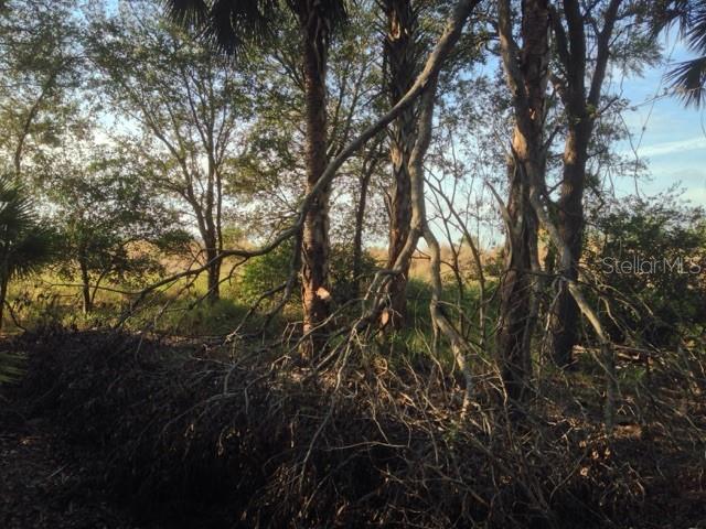 1901 GRAHAM RD, PUNTA GORDA, FL — photo 12
