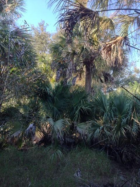 1901 GRAHAM RD, PUNTA GORDA, FL — photo 13
