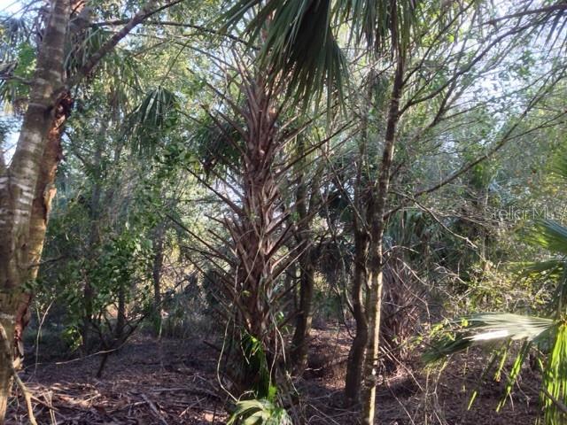 1901 GRAHAM RD, PUNTA GORDA, FL — photo 15