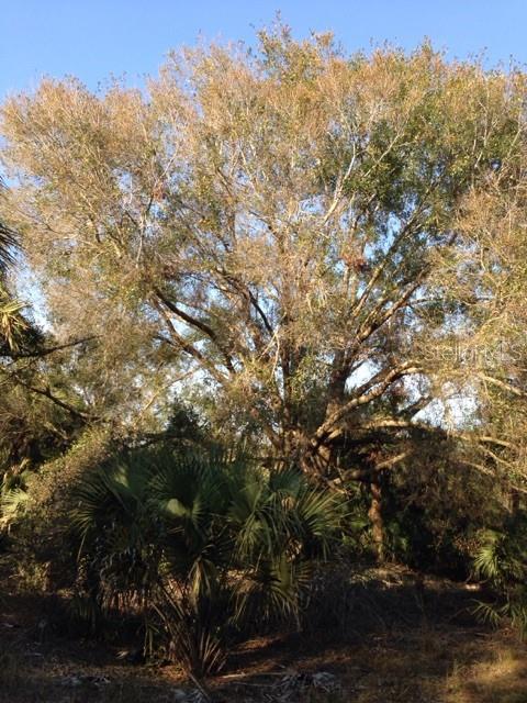 1901 GRAHAM RD, PUNTA GORDA, FL — photo 16