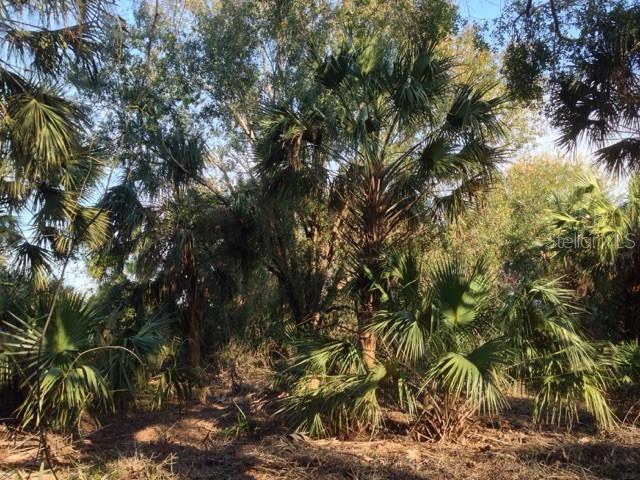 1901 GRAHAM RD, PUNTA GORDA, FL — photo 17