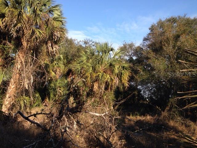 1901 GRAHAM RD, PUNTA GORDA, FL — photo 18