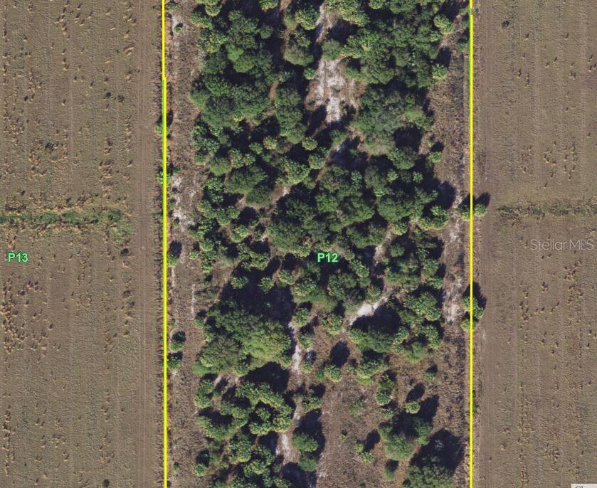 1901 GRAHAM RD, PUNTA GORDA, FL — photo 21