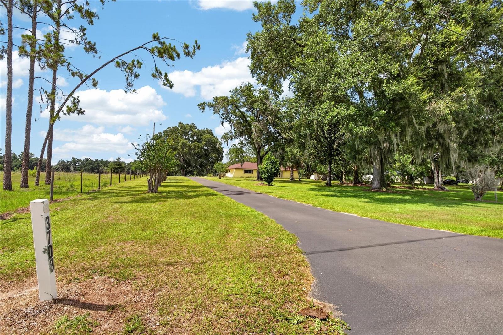 3708 JOE SANCHEZ RD, PLANT CITY, FL — photo 2