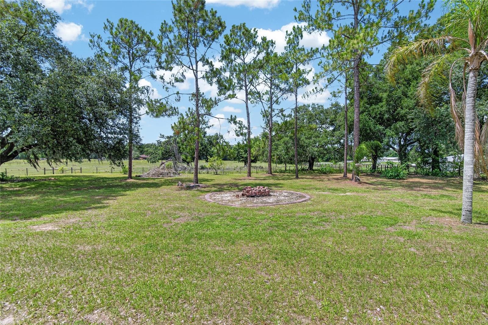 3708 JOE SANCHEZ RD, PLANT CITY, FL — photo 64