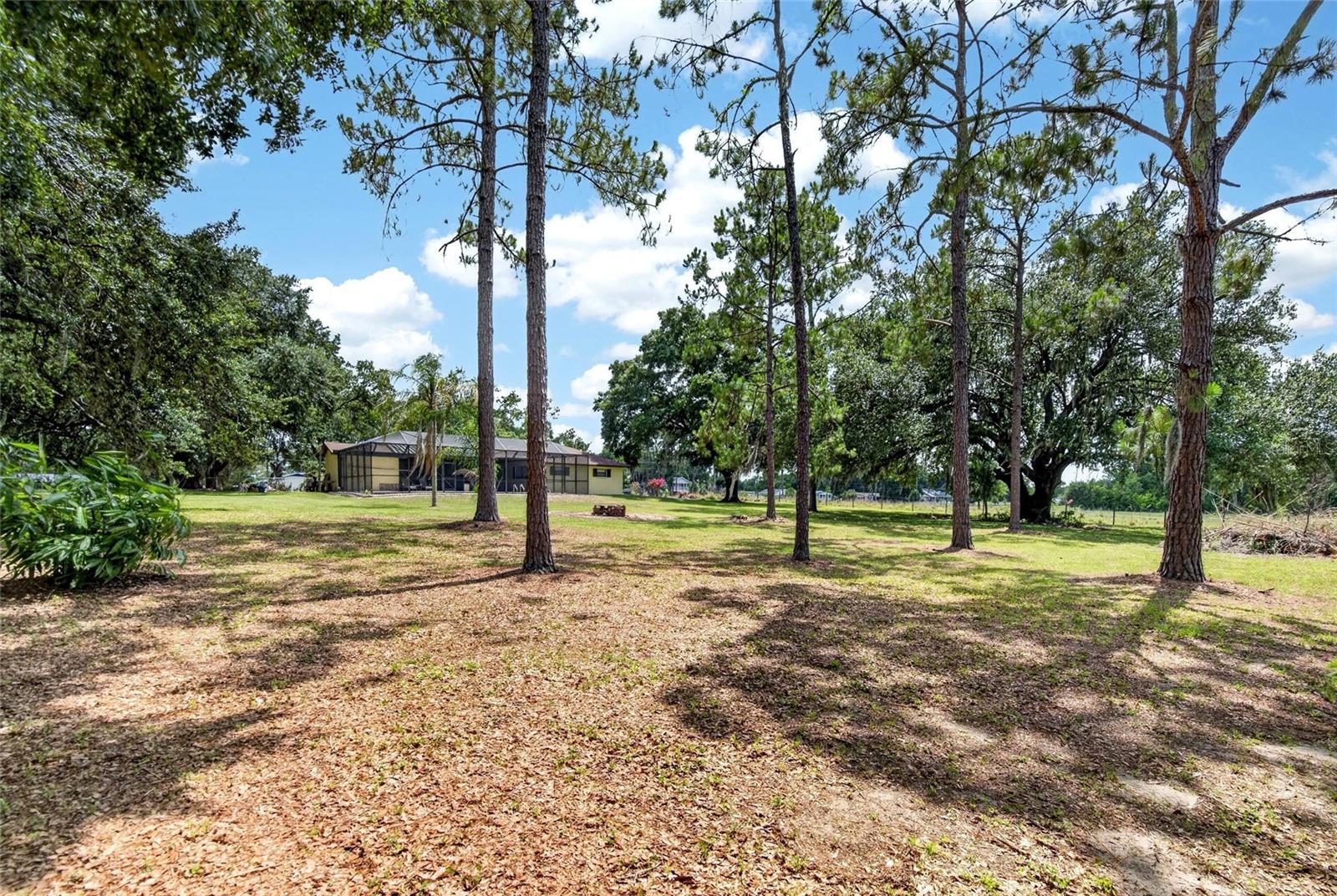 3708 JOE SANCHEZ RD, PLANT CITY, FL — photo 68