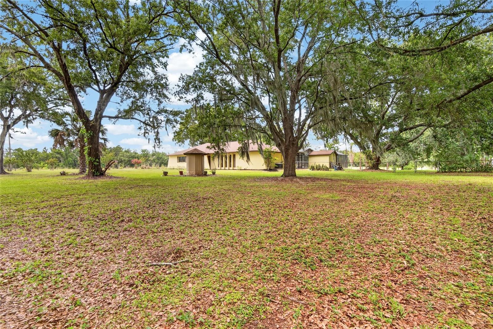 3708 JOE SANCHEZ RD, PLANT CITY, FL — photo 79