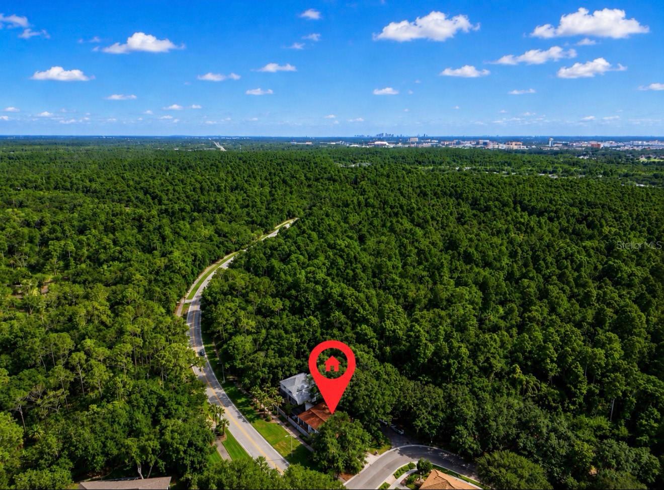 5204 GREEN FOREST CT, TAMPA, FL — photo 40