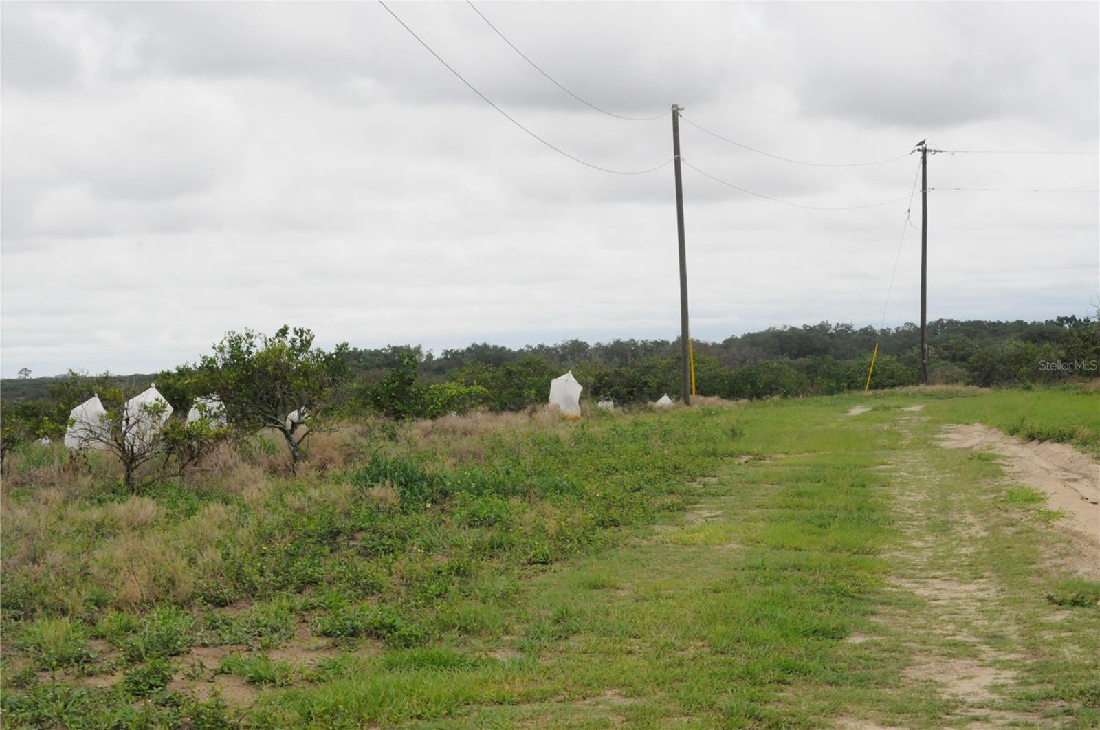 3961 BYRON BLVD, AVON PARK, FL — photo 3