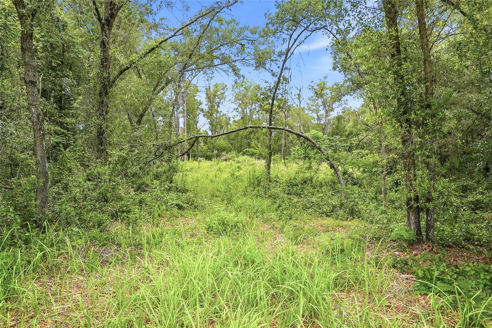 7002 N CASTLEBURY, HERNANDO, FL — photo 4