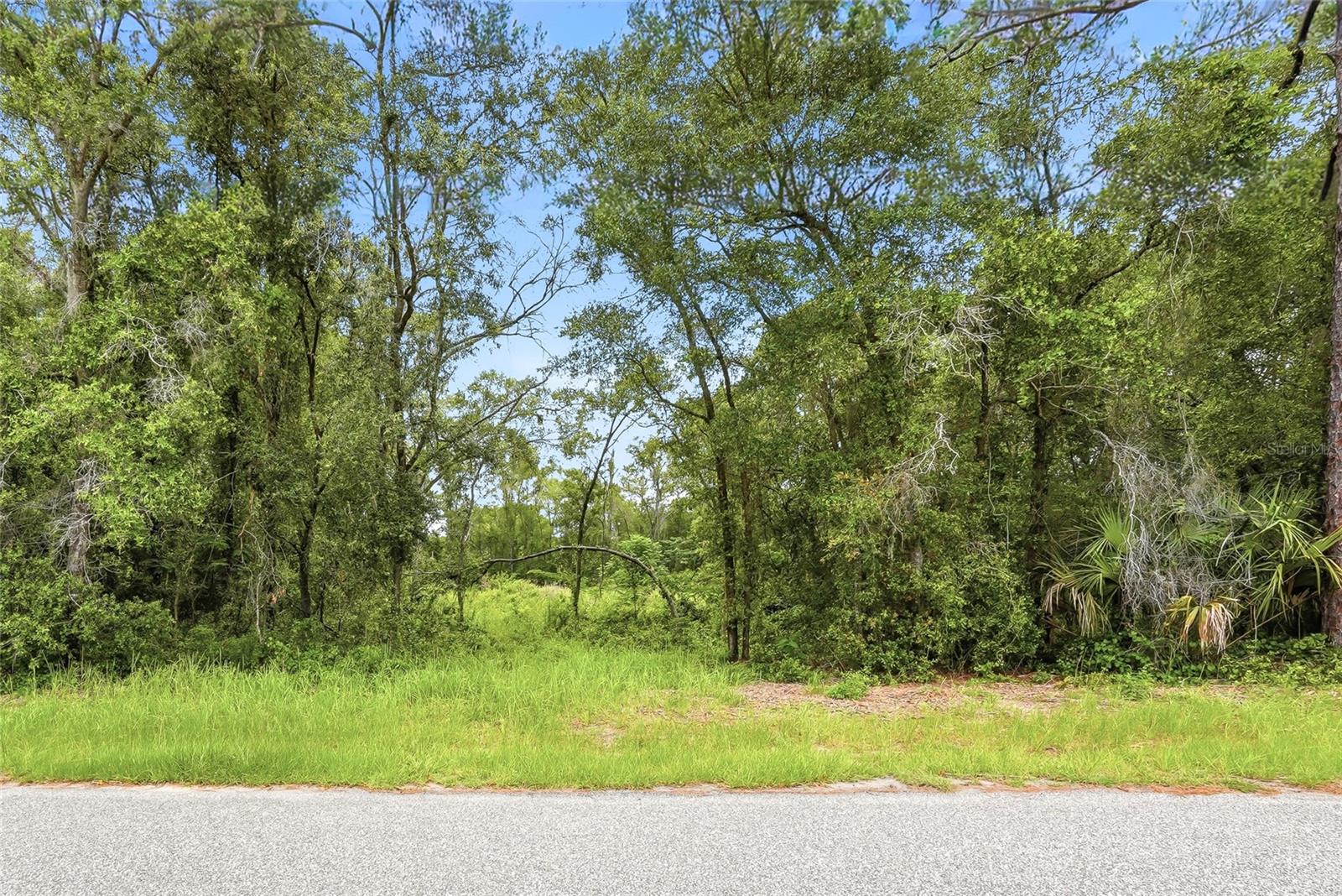 7002 N CASTLEBURY, HERNANDO, FL — photo 5