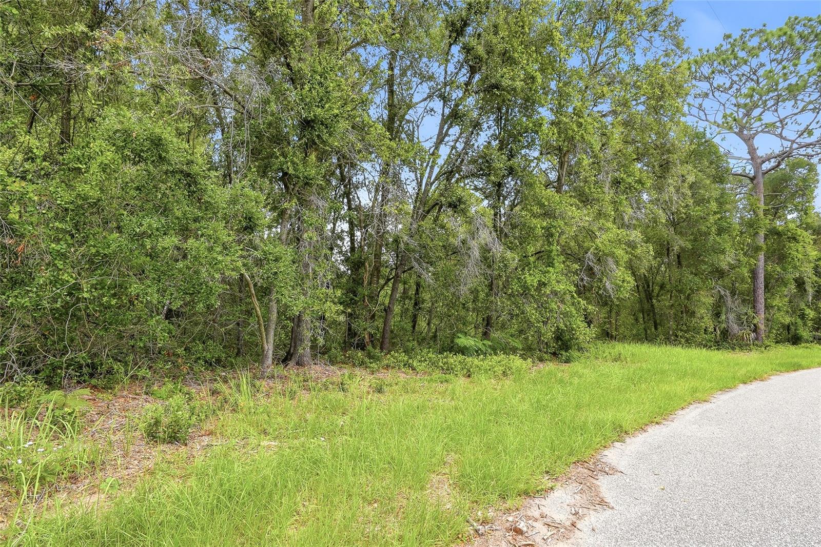 7002 N CASTLEBURY, HERNANDO, FL — photo 7