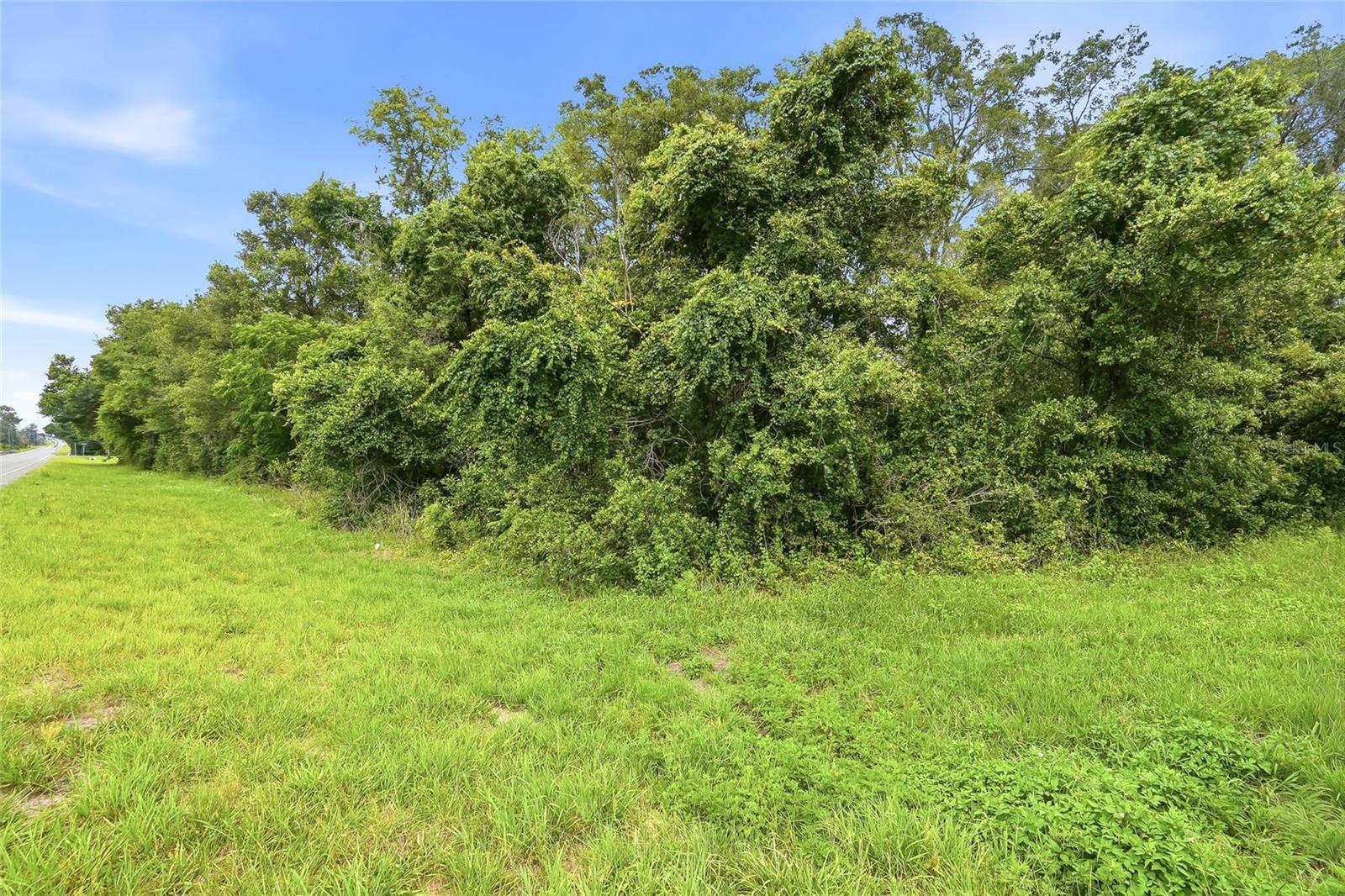 7002 N CASTLEBURY, HERNANDO, FL — photo 8