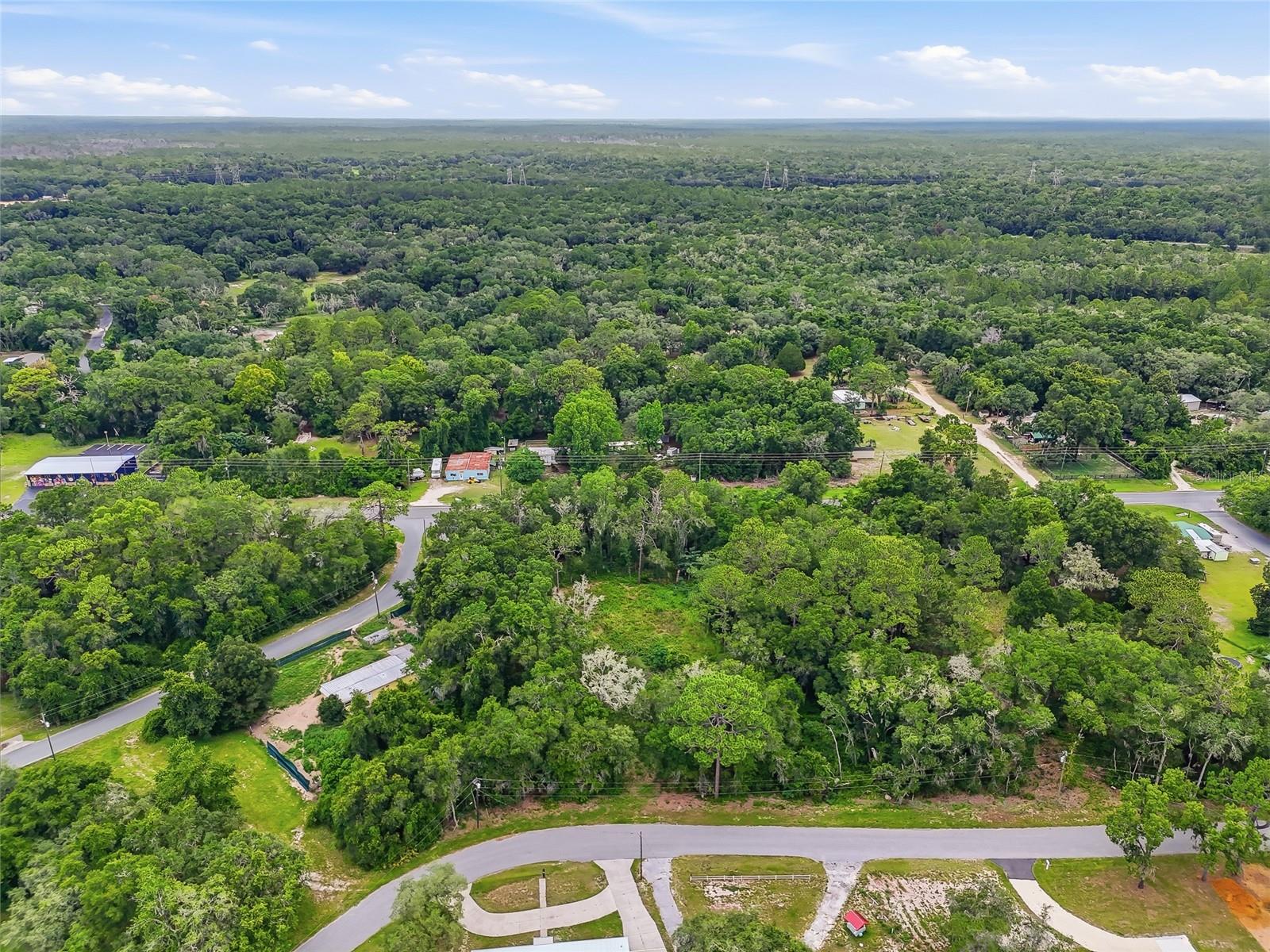 7002 N CASTLEBURY, HERNANDO, FL — photo 10