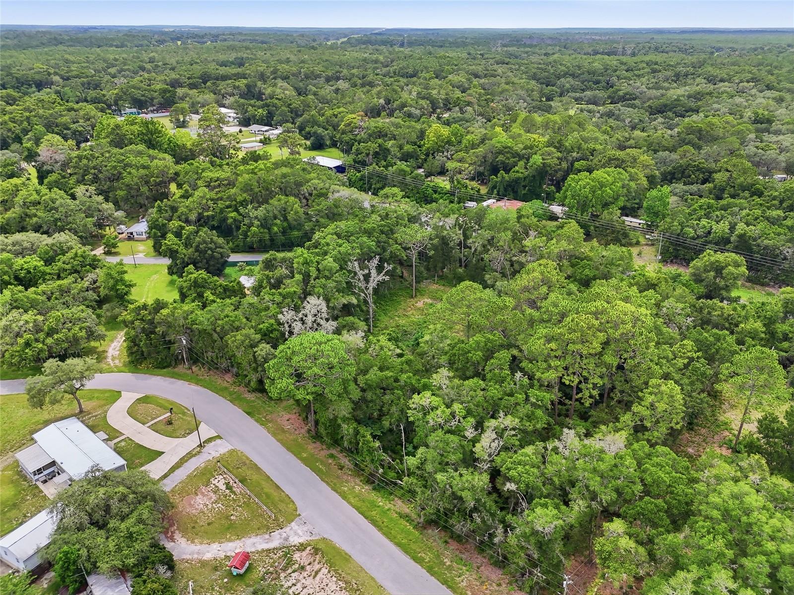 7002 N CASTLEBURY, HERNANDO, FL — photo 18