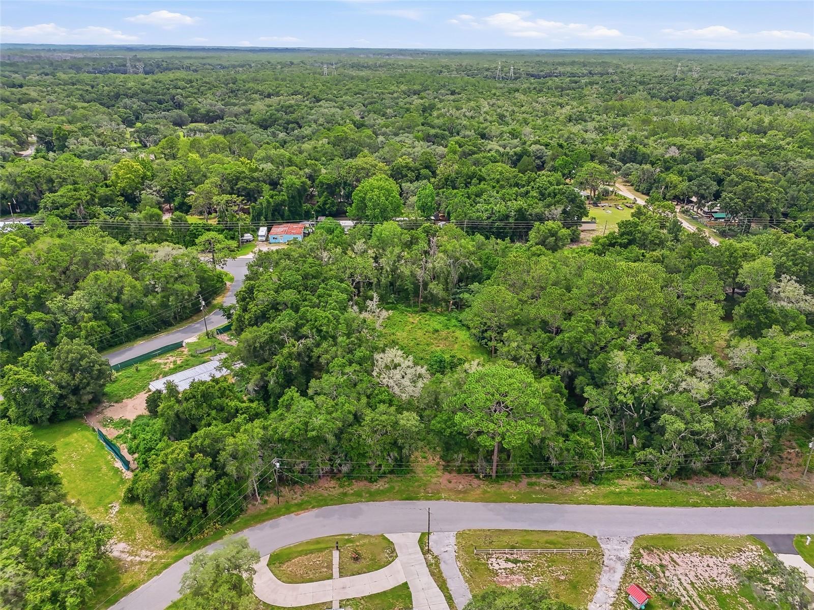 7002 N CASTLEBURY, HERNANDO, FL — photo 20