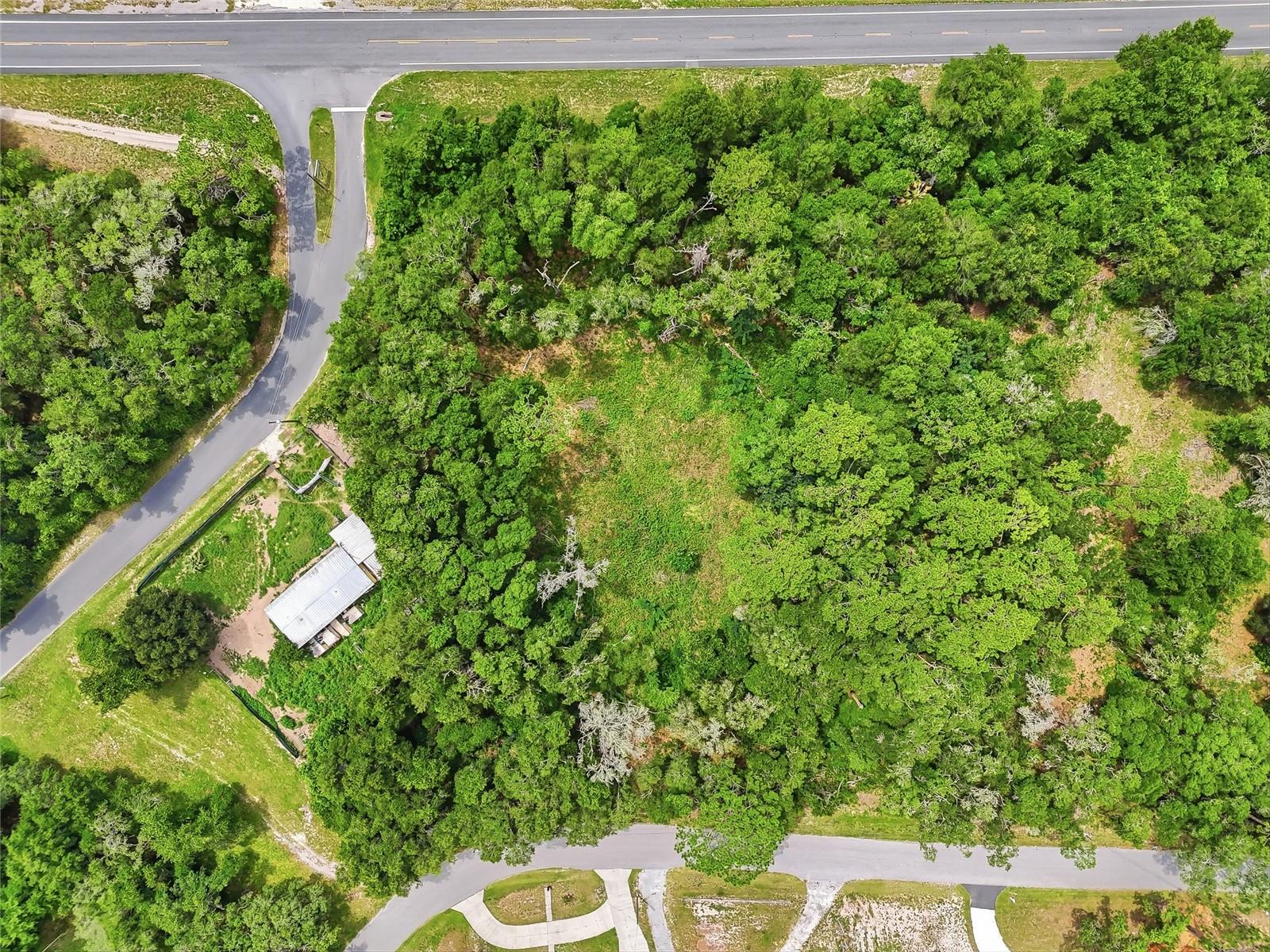 7002 N CASTLEBURY, HERNANDO, FL — photo 28