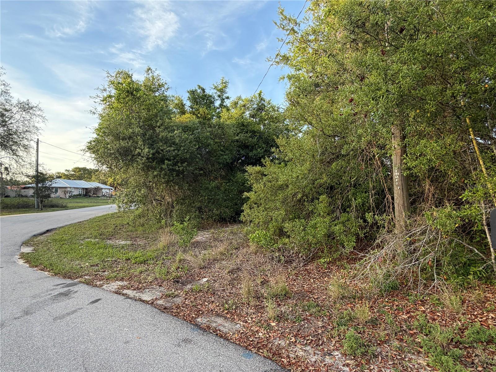 MAGNOLIA CIR, LAKE WALES, FL — photo 3