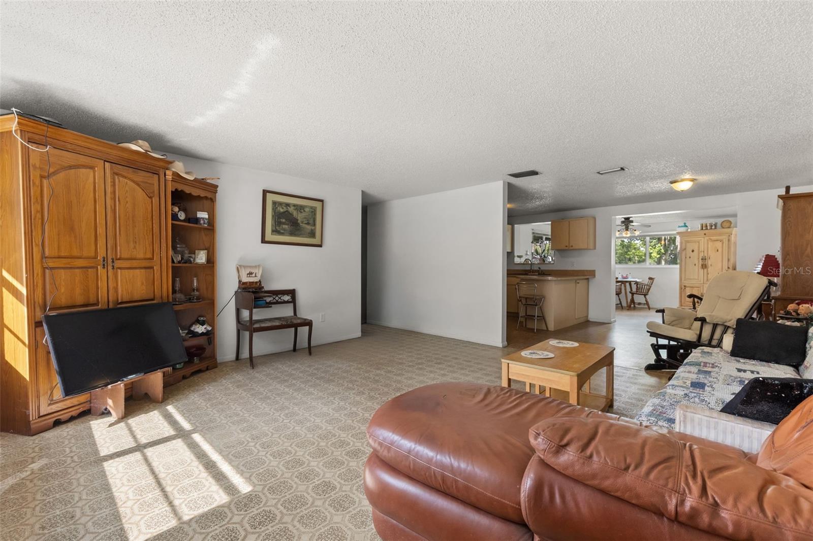 12631 HOBSON SIMMONS RD, LITHIA, FL — photo 3