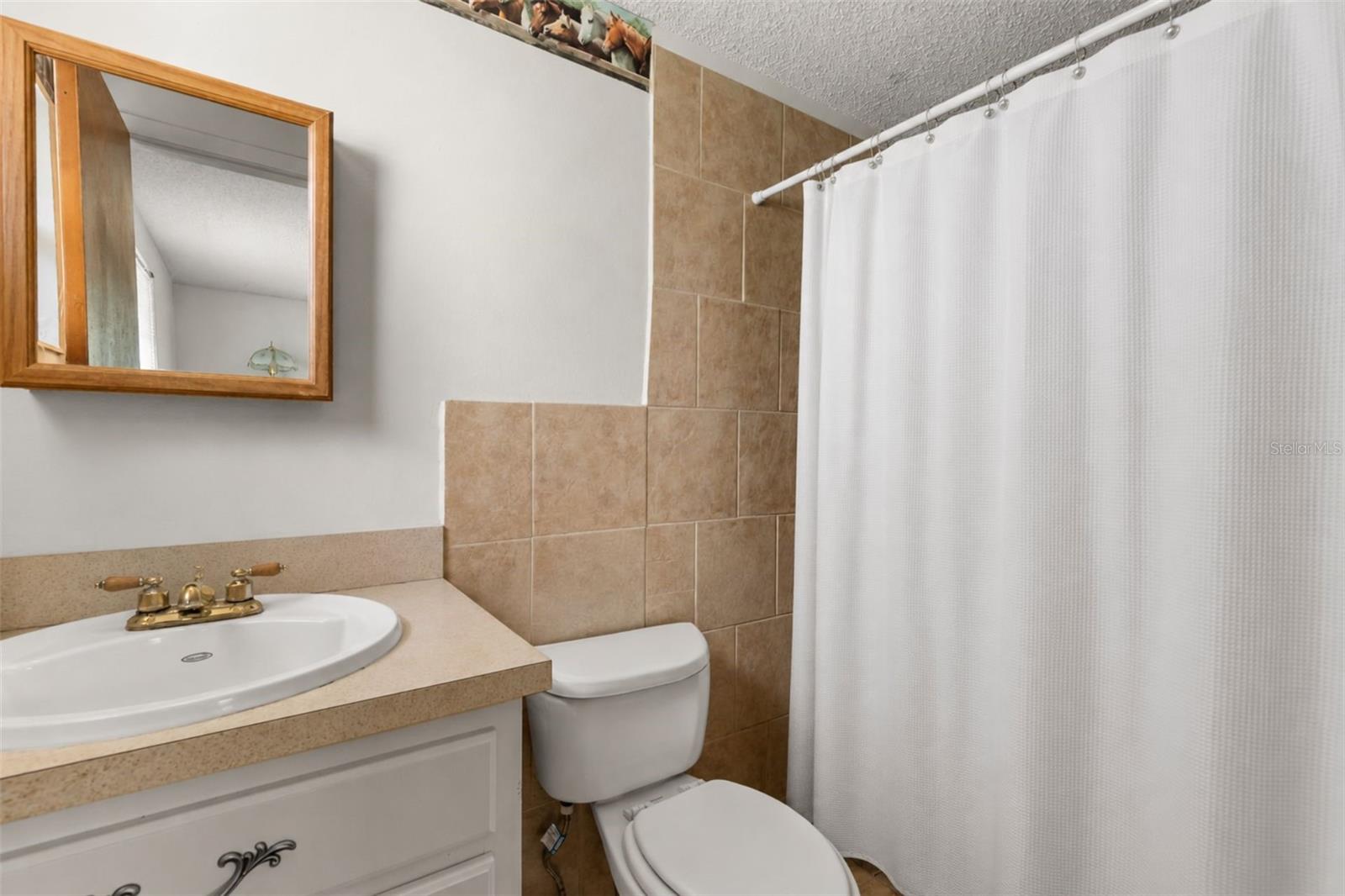 12631 HOBSON SIMMONS RD, LITHIA, FL — photo 11
