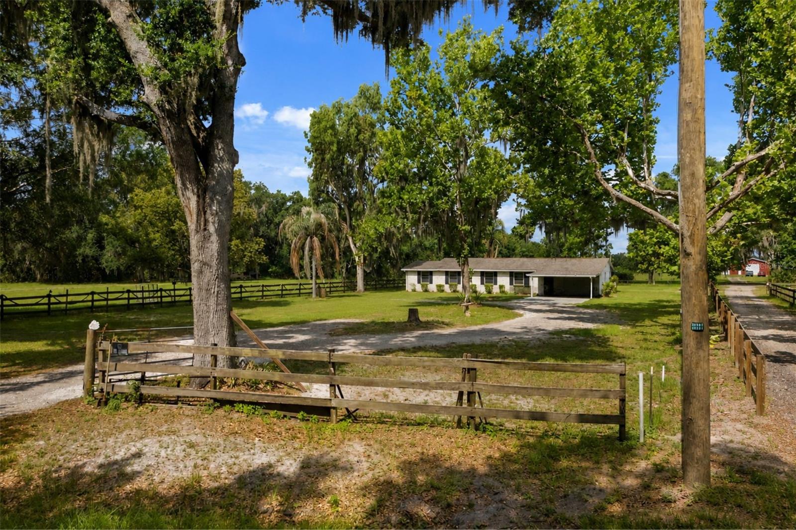 12631 HOBSON SIMMONS RD, LITHIA, FL — photo 14