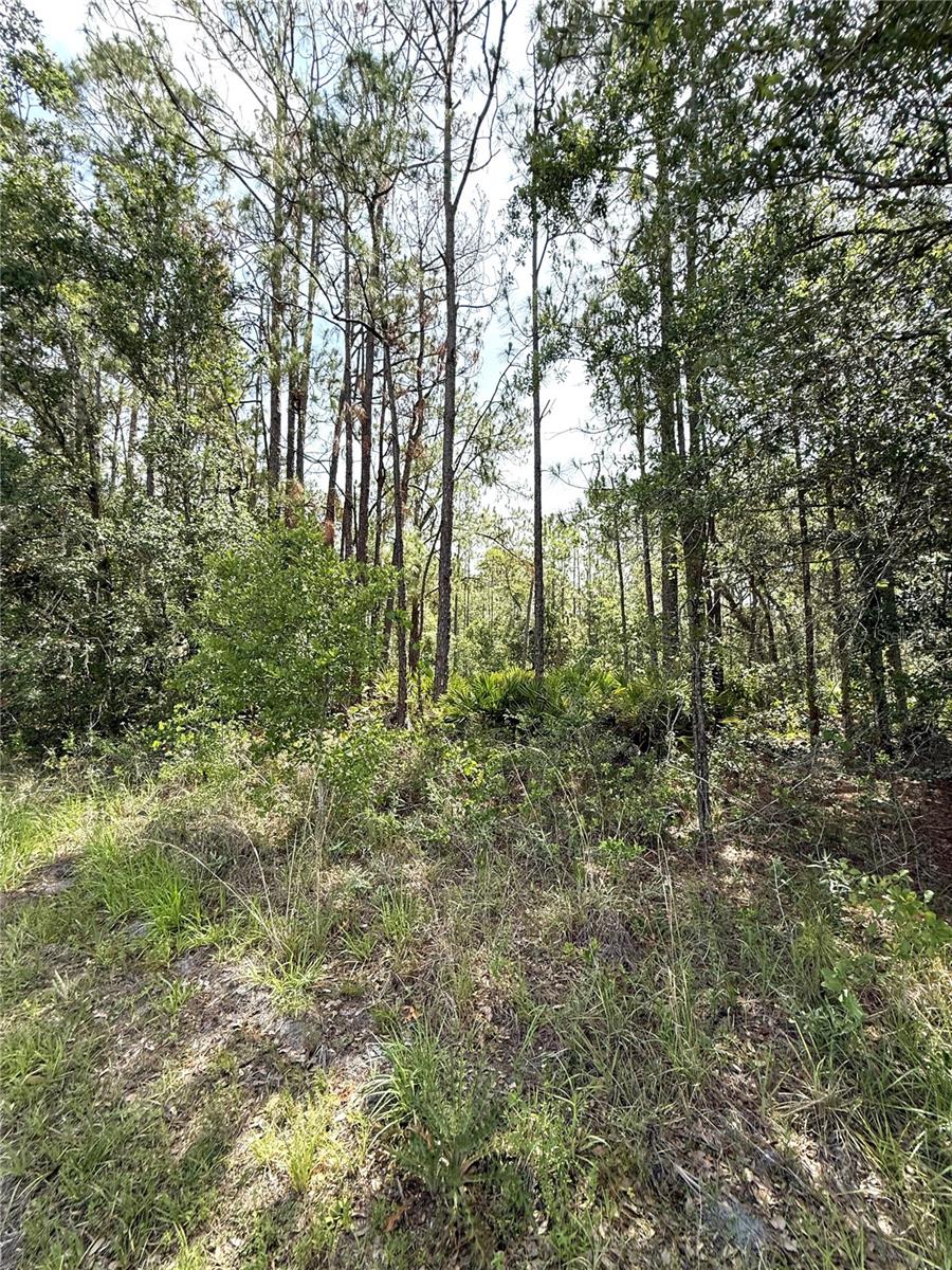 0 LAKE CALOOSA LANDING, FROSTPROOF, FL — photo 7