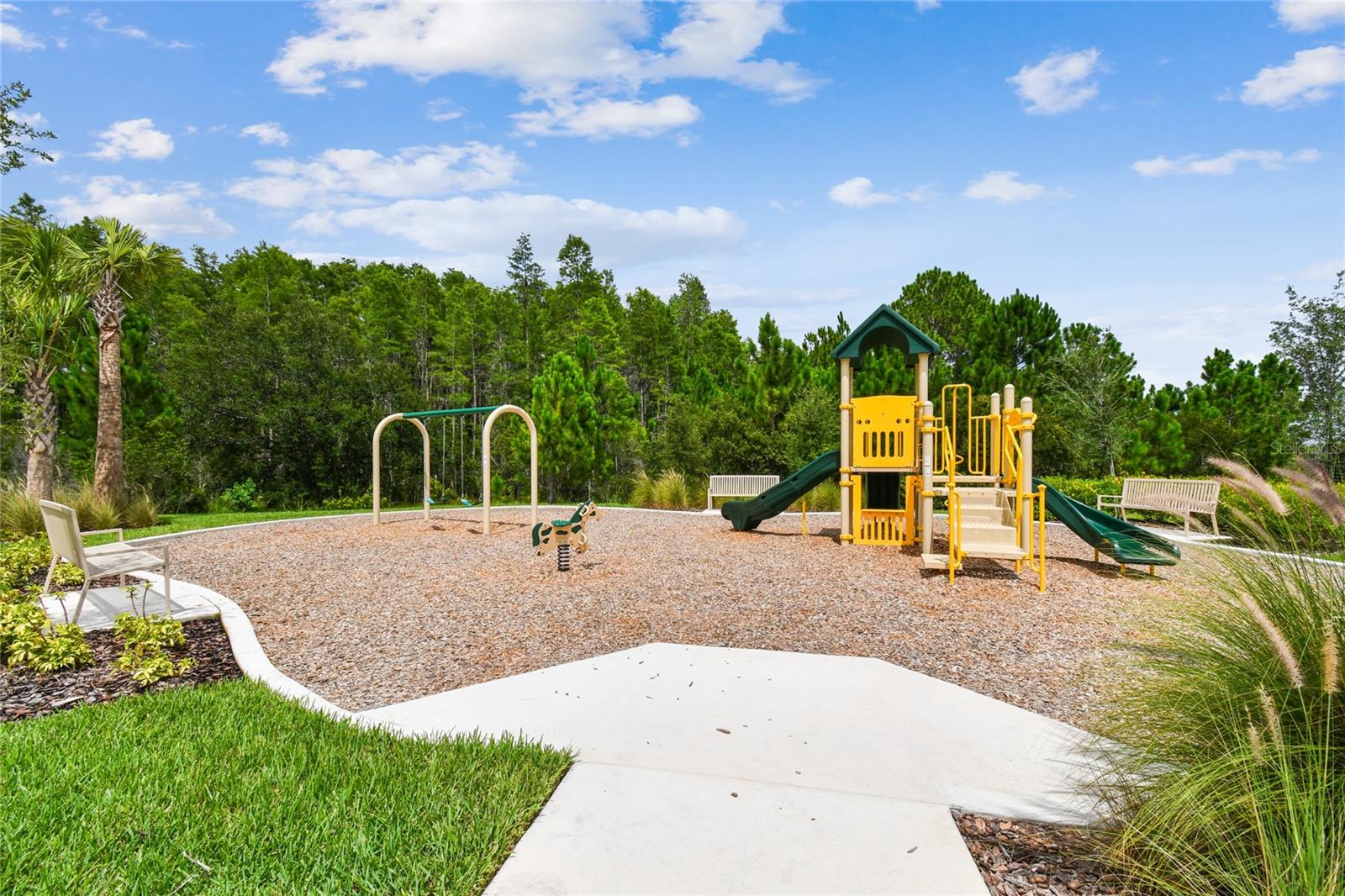 2510 WARREN ACRES BLVD, WESLEY CHAPEL, FL — photo 50