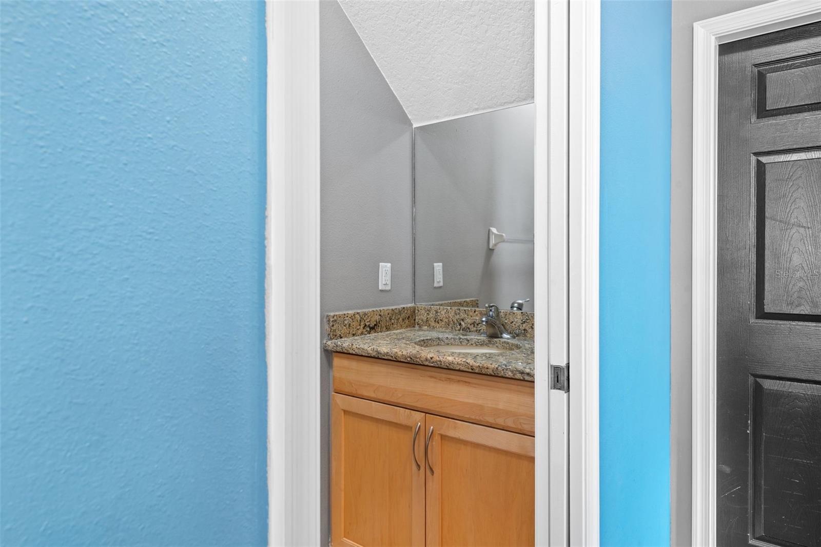 19419 RED SKY CT, LAND O LAKES, FL — photo 19