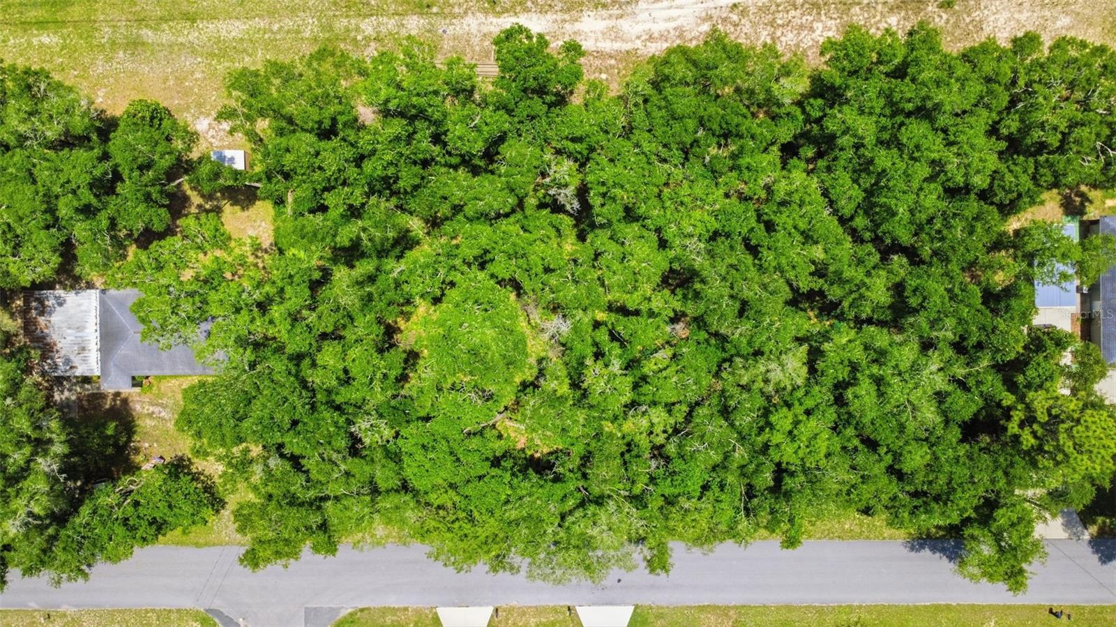 575 N ROOKS AVE, INVERNESS, FL — photo 4