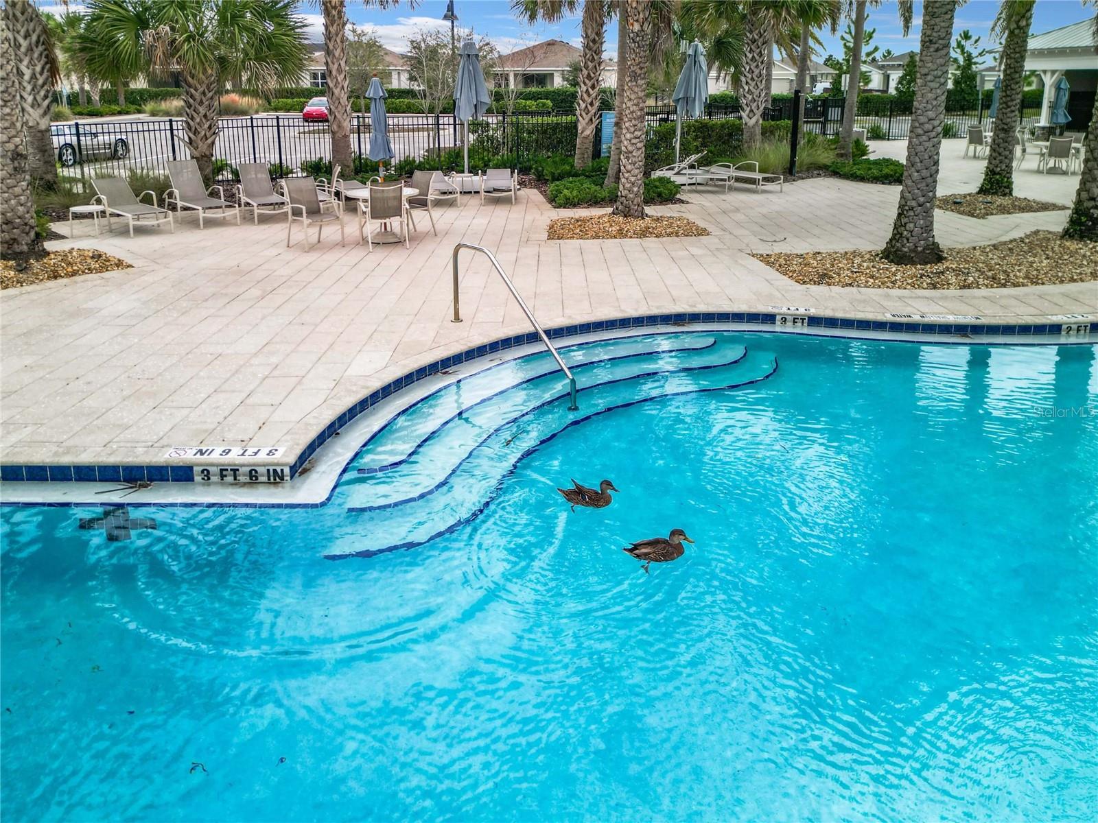 8051 PENROSE PL, WILDWOOD, FL — photo 46