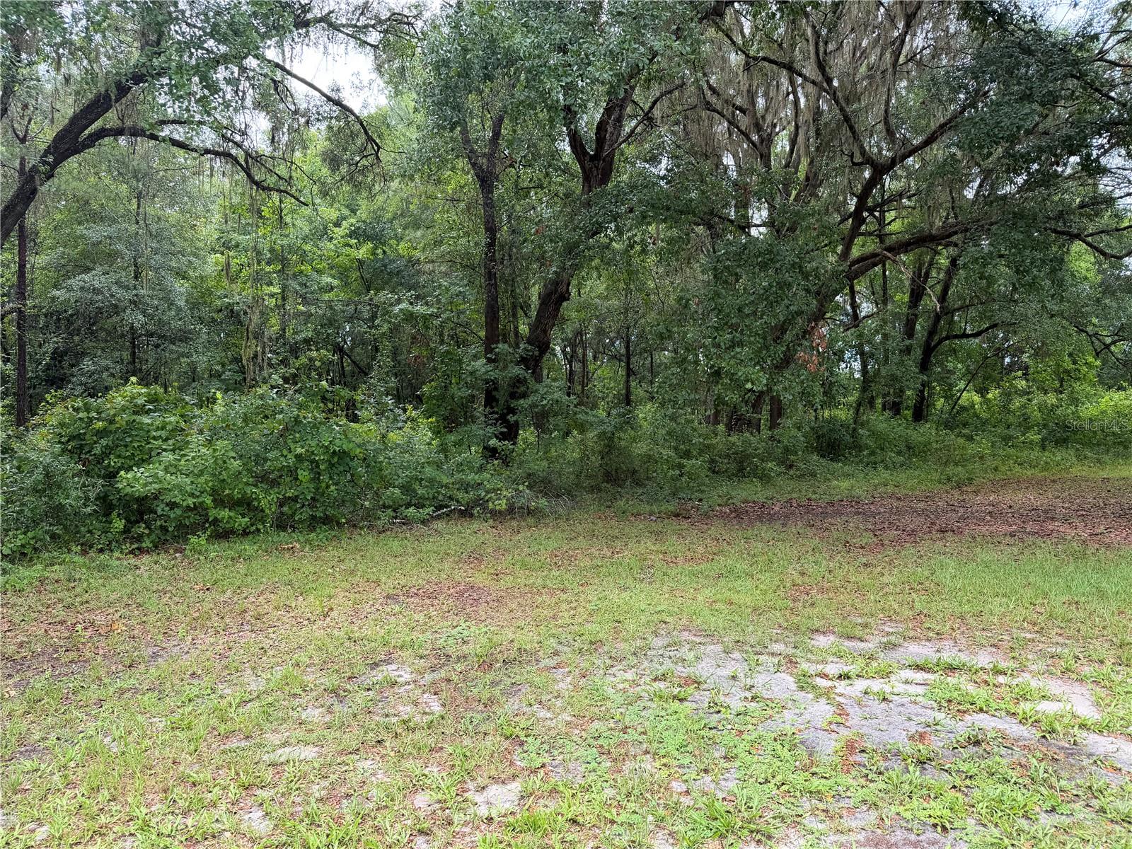 11455 NW 110TH AVE, REDDICK, FL — photo 15