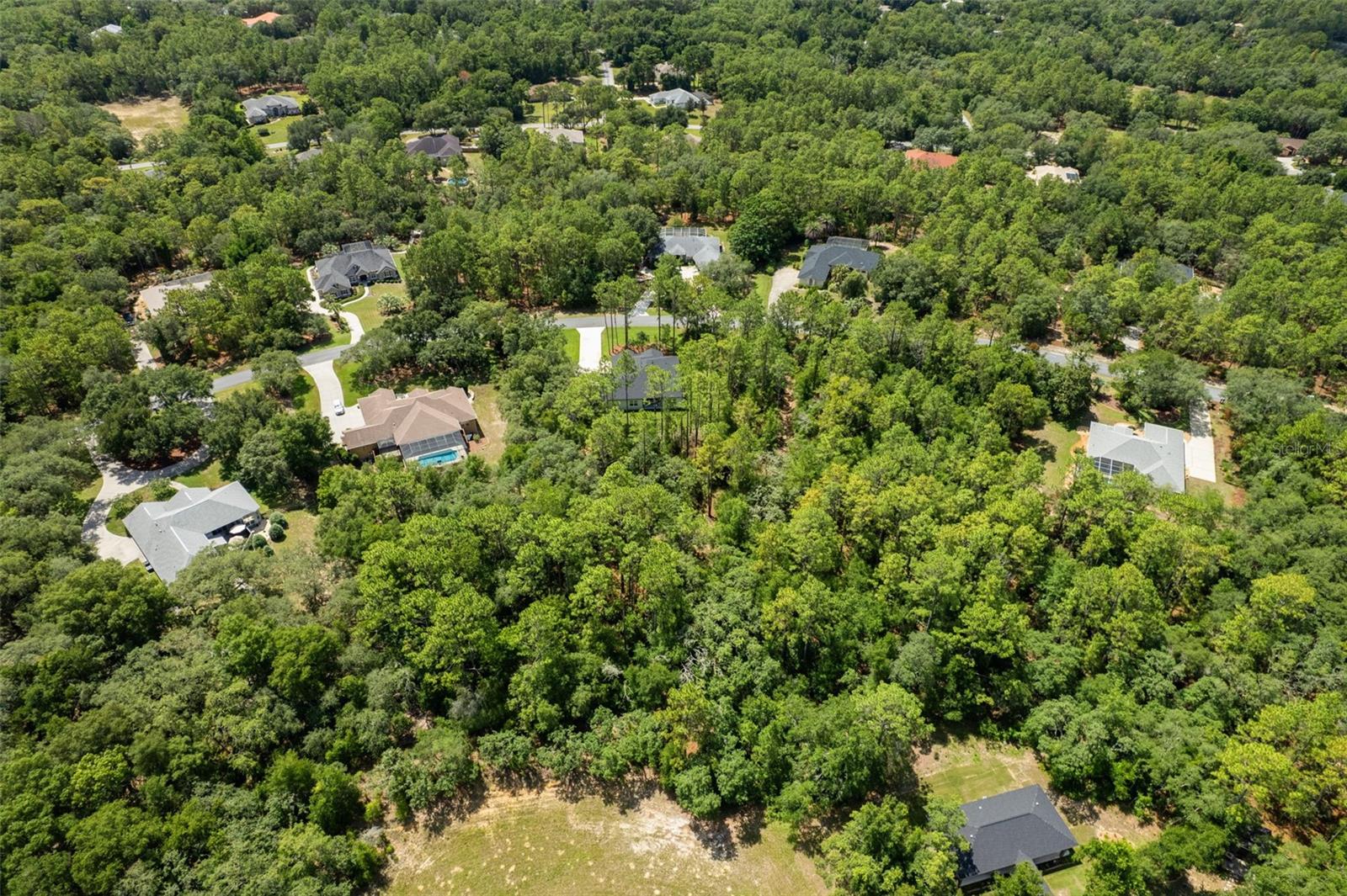 3946 N LONGVALLEY RD, HERNANDO, FL — photo 51