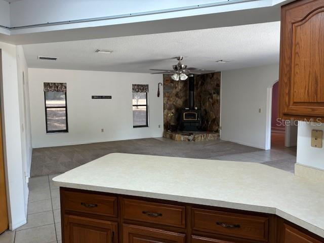 20929 SW AUDUBON AVE, DUNNELLON, FL — photo 8