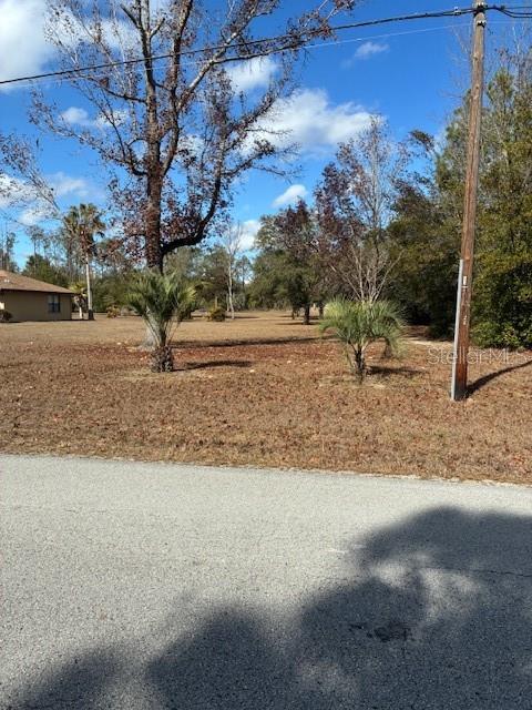 20929 SW AUDUBON AVE, DUNNELLON, FL — photo 40