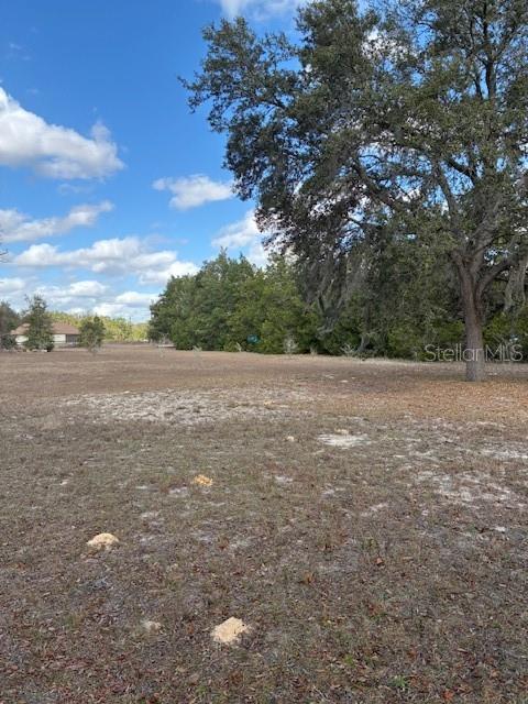 20929 SW AUDUBON AVE, DUNNELLON, FL — photo 48