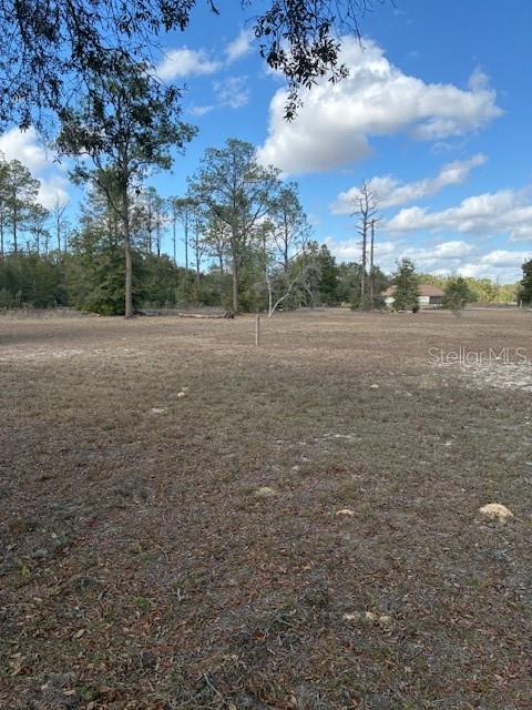 20929 SW AUDUBON AVE, DUNNELLON, FL — photo 49