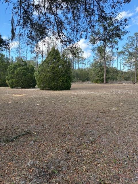 20929 SW AUDUBON AVE, DUNNELLON, FL — photo 50