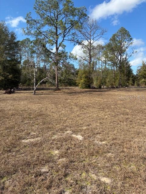 20929 SW AUDUBON AVE, DUNNELLON, FL — photo 52